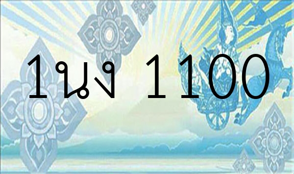 1นง 1100